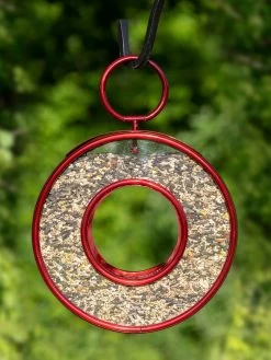 Circle Fly-Thru™ Bird Feeder With A Ruby Red Finish