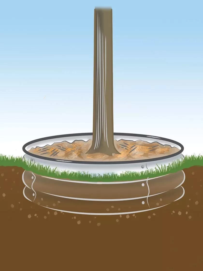 Tree Surround - Image 4