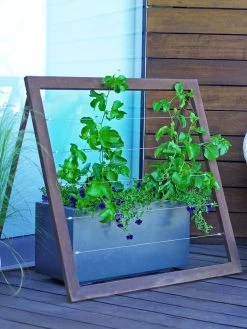 Mira Modern Garden Trellis Jr.