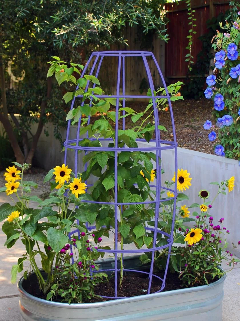 Toki Bubble Trellis - Image 6