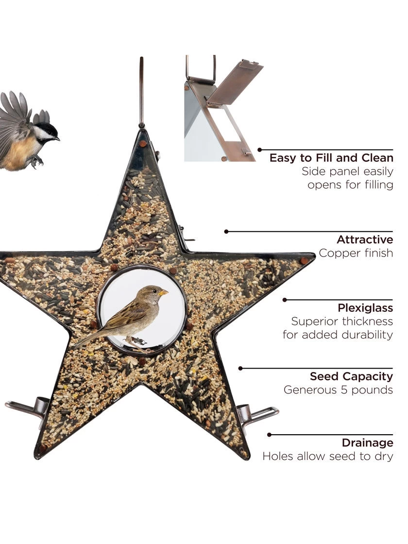 Star Fly-Thru™ Bird Feeder - Image 2