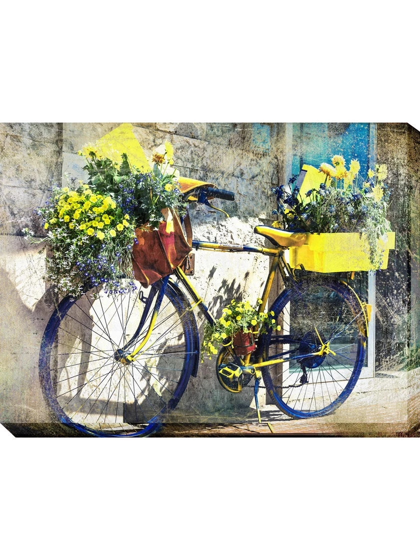 Blue And Yellow Bike Outdoor Wall Art,