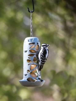 Suet Ball Feeder