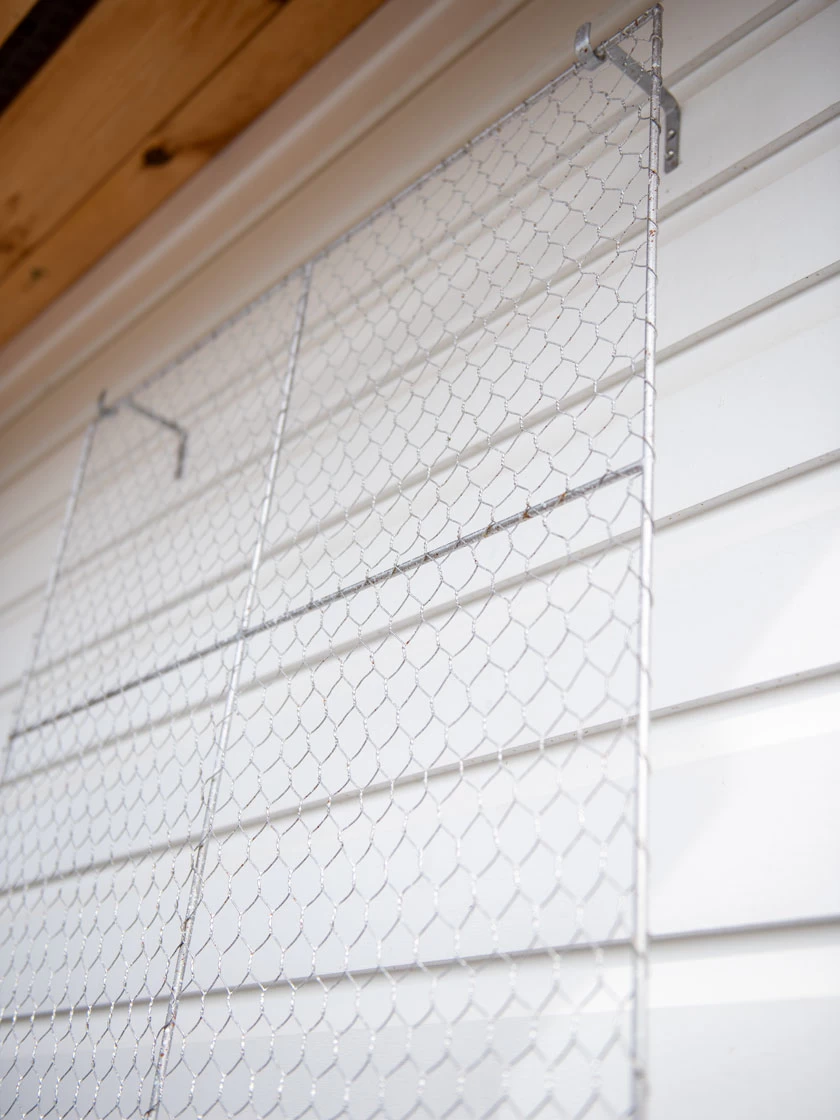 Chicken Wire Wall Trellis - Image 8