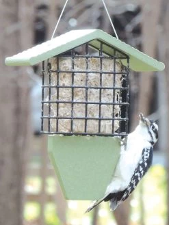 Birds Choice™ Tail Prop Feeder