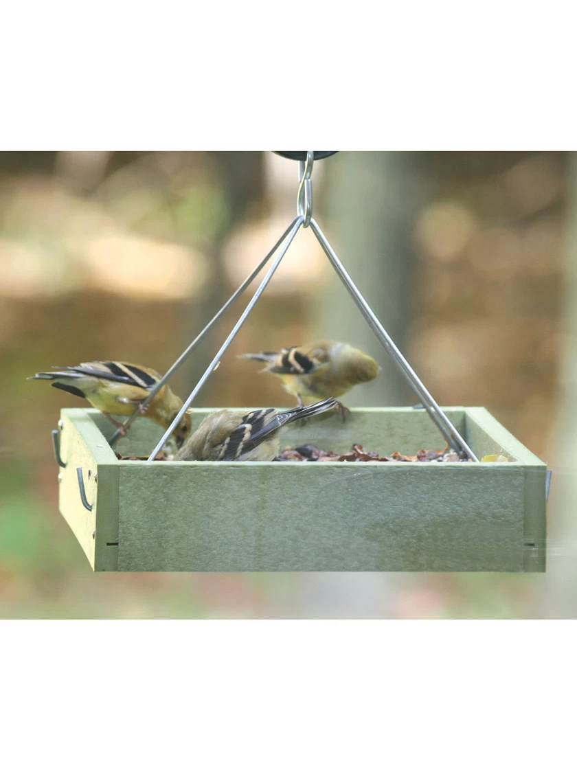 Birds Choice™ Tray Bird Feeder, Small - Image 3