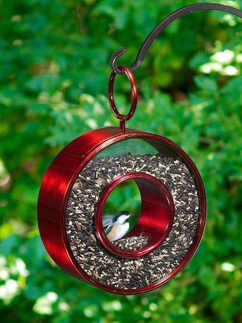 Circle Fly-Thru™ Bird Feeder With A Ruby Red Finish - Image 2