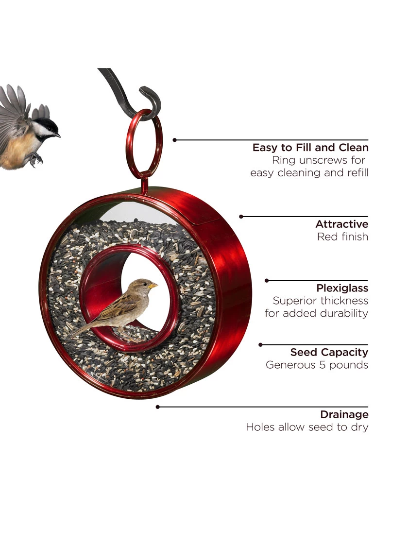 Circle Fly-Thru™ Bird Feeder With A Ruby Red Finish - Image 4